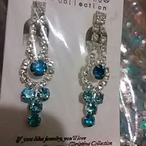 Earrings & hair clips